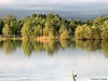 Foto di M.Damo